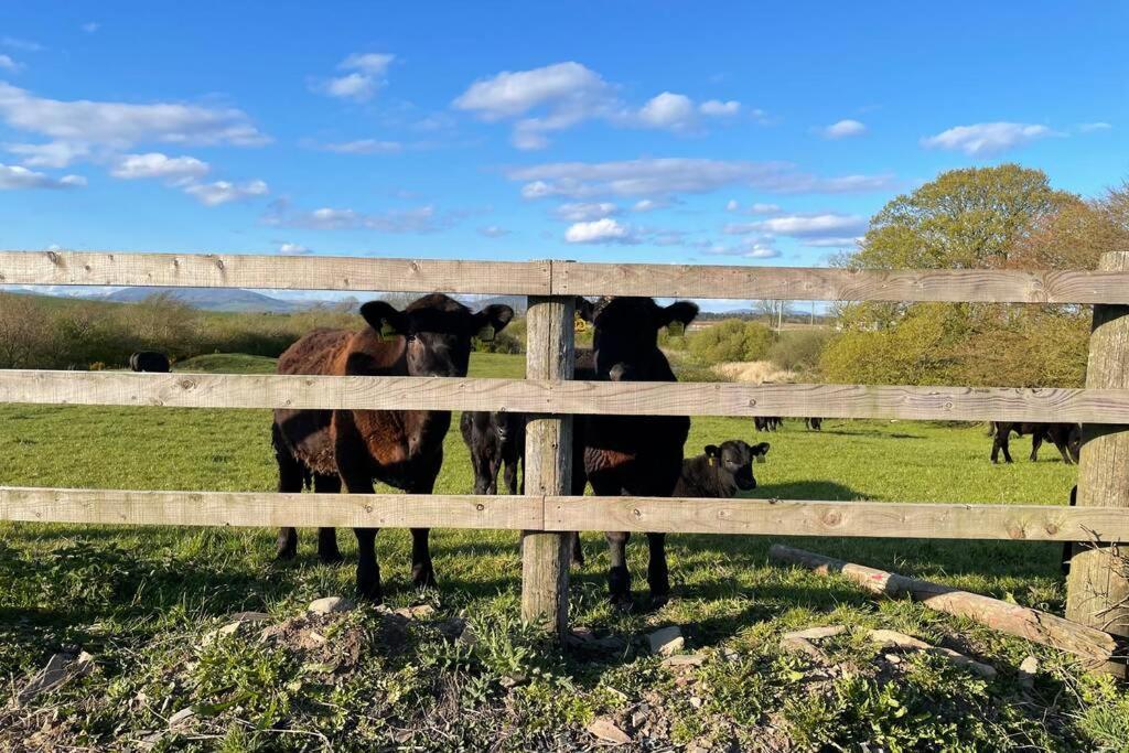 Galloway Farmstay Broughton นิวตันสจวร์ต ภายนอก รูปภาพ