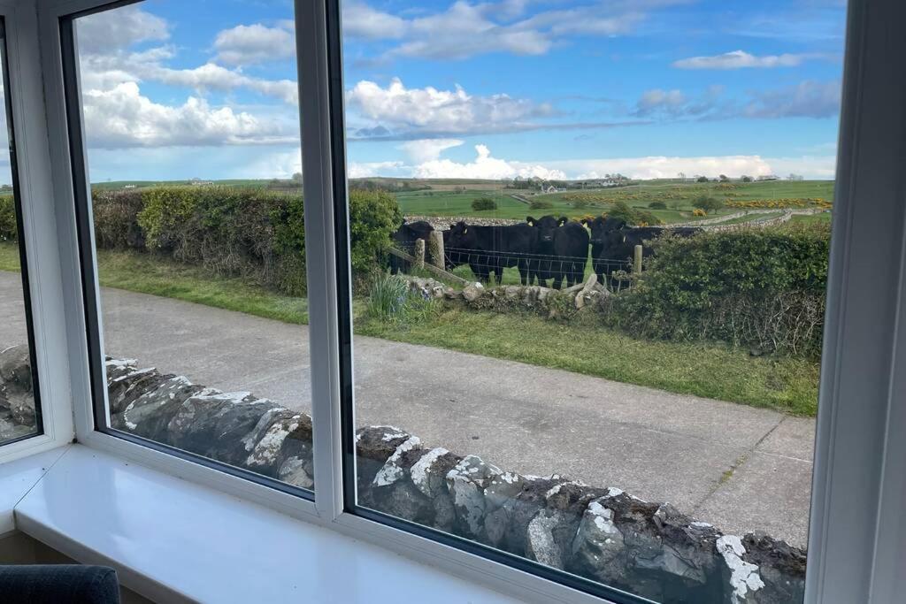 Galloway Farmstay Broughton นิวตันสจวร์ต ภายนอก รูปภาพ